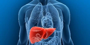 Karaciğer Enzim Yüksekliği