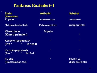 Pankreas Enzimleri Özellikleri ve Faydaları Nelerdir?