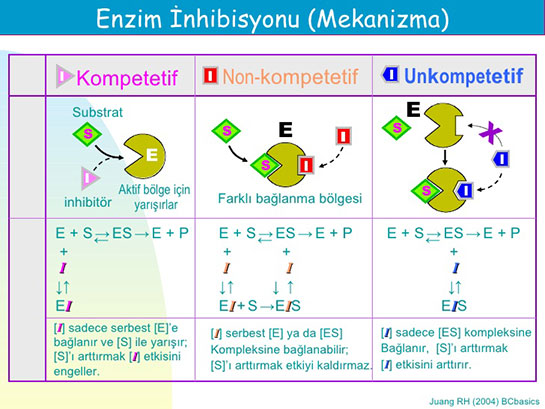 Enzim nhibisyonu